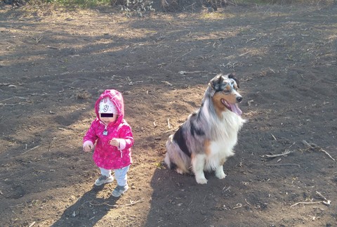 Stratil sa Jimmy, ktorý je nenahraditeľným členom rodiny. Pomôžte zúfalej rodine