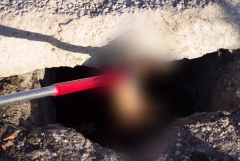 Kauza utopených šteniatok, ktorú mali na svedomí policajti, pokračuje