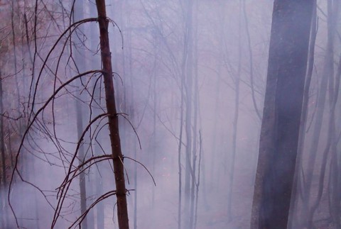 Hasiči bojujú s požiarom v doline. Zasahuje aj letka ministerstva