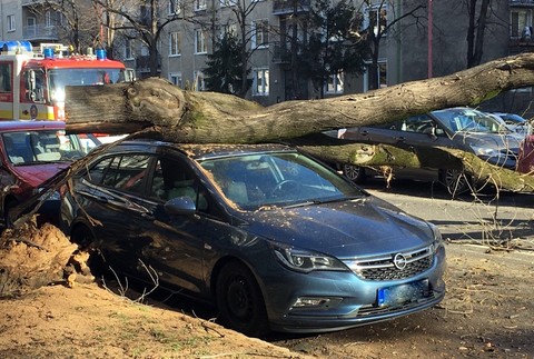 FOTO: Pod náporom vetra padol strom. Poškodené sú viaceré autá