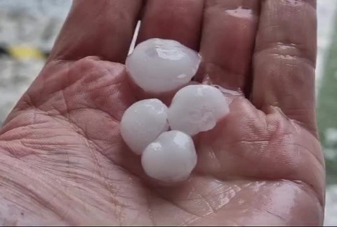 [multi] Krúpy_košice 18437