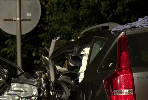 [multi] Smrtak celna zrazka. 699