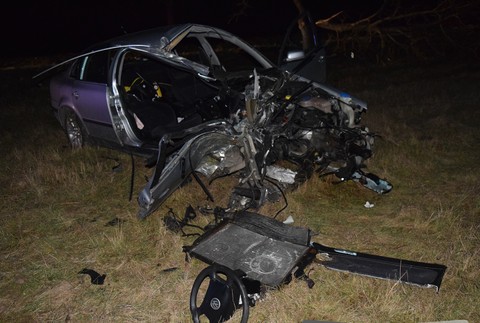 Vodič narazil do stromu