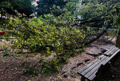Na detské ihrisko spadol strom 4