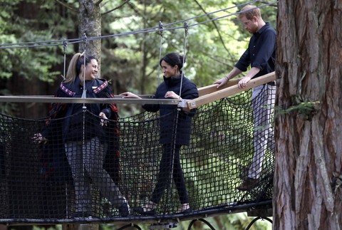 Harry a Meghan v buši