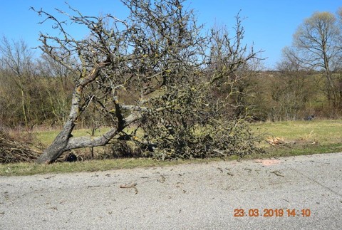 Smrteľná dopravná nehoda. Vodič pri náraze vyletel z auta