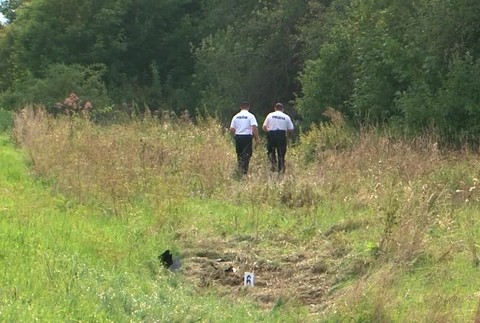 [multi] Manželia sa deťmi vyleteli s autom z cesty, zastavil ich až strom 2935