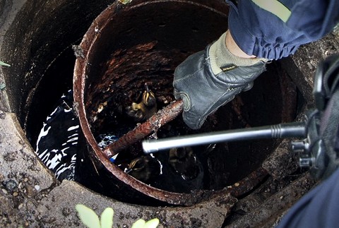 Záchrana kačiek z kanála vo Zvolene 2