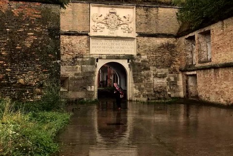 [multi] Komárno smršť 616