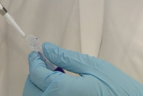 trescia pecen osypky liecba 2