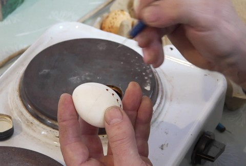 [multi] 033126KDN 1645