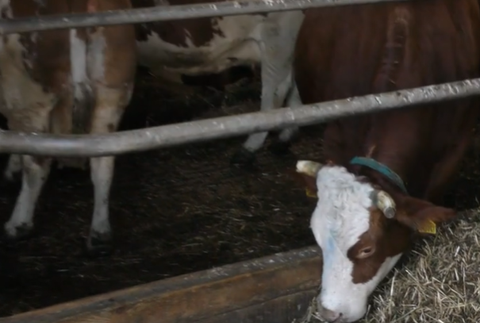 Dobrytok a zmena času