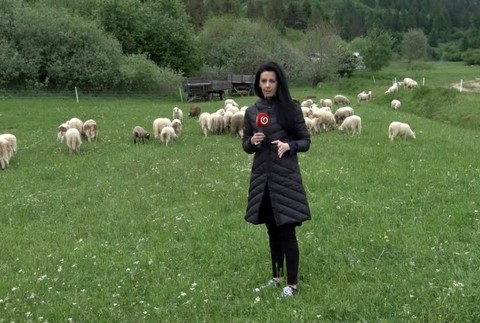 E-kasu by už o mesiac mal mať každý podnikateľ. Dokonca aj bača na salaši