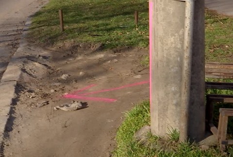 [multi] Zrazený chodec 520