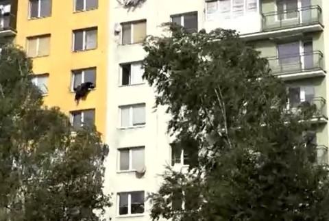 Masívny vietor lámal stromy, intenzívny dážď spôsobil problémy mnohým Slovákom.