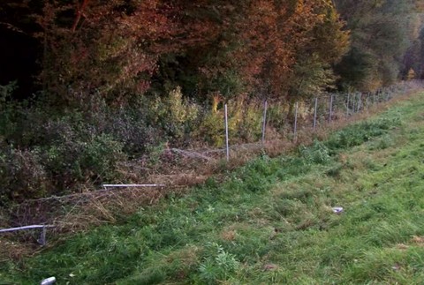 Prevrátená dodávka2543