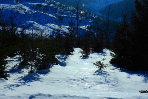 FOTOREPORTÁŽ: Tvary, ktoré vám vyrazia dych. Zima sa v Tatrách vyhrala