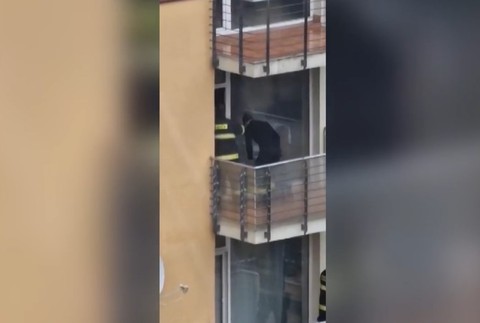 v byte našli mŕtvu ženu (7)