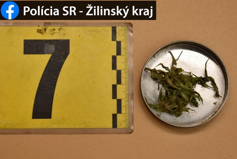 Úspešná drogová razia v Žiline. Policajti zaistili väčšie množstvo drog