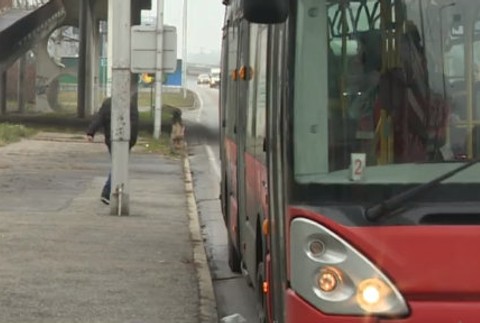 Aj chodci majú povinnosti