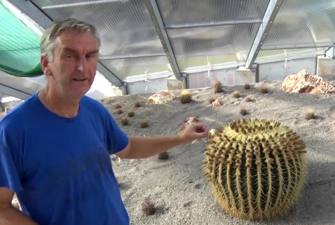 [multi] Kaktusárium 526