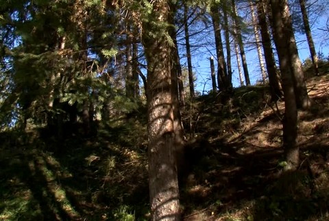 Päť minút smrteľnej hrôzy. Poľovníka napadol 200-kilový medveď