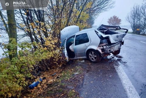 405711509_749709663871580_5148368844023354156_n