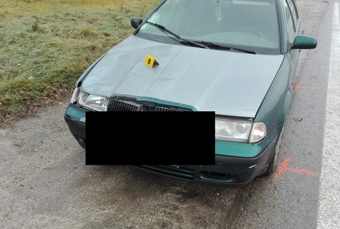 Nehoda na priechode pre chodcov 