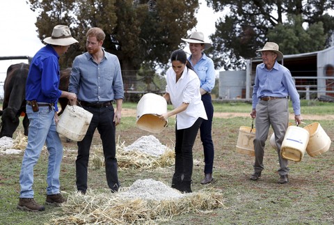 Harry a Meghan na farme