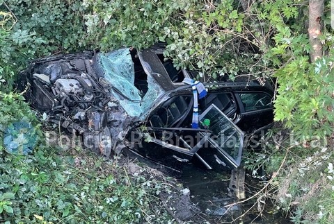 305213744_1502165760205949_8368610204979209735_n (cropped)