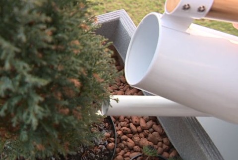 Teplá zima škodí rastlinám