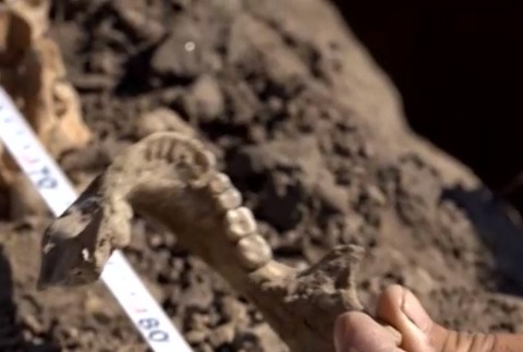 FOTO: Na poli pri Galante našli ľudské kosti. Rozuzlenie bolo nečakané