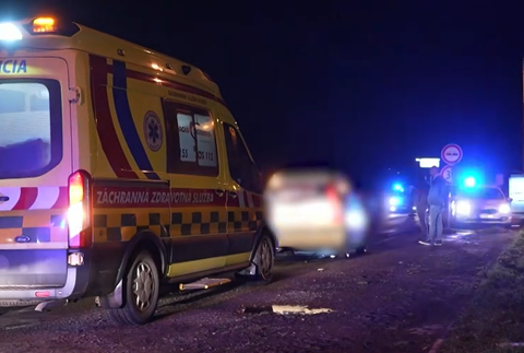 mladik zrazil muza so psom 1