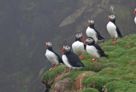 Fair Isle 3