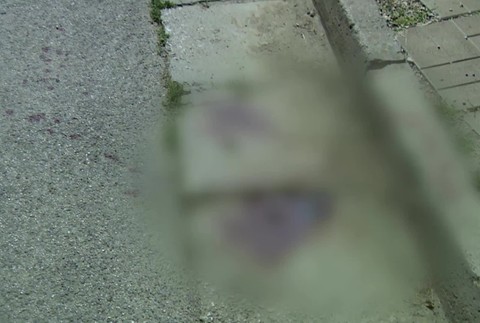 [multi] Pobili sa desiatky Rómov 5952