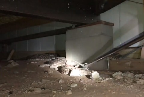 VIDEO: Muž mal pod domom 45 štrkáčov. Tvrdil, že ich je tam len pár