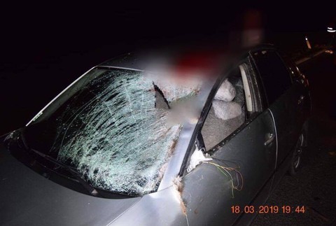 dojč, nehoda, zvery