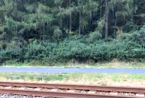 Nehoda motorkár Spišská Belá