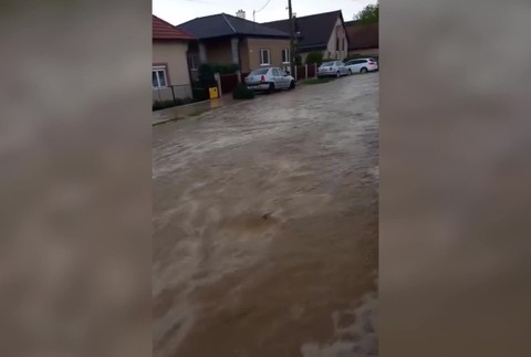 [multi] 050524QSJ 2029