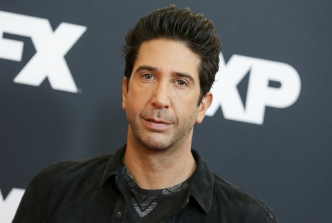 David Schwimmer