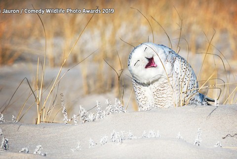 Veselé tváre prírody