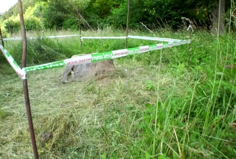 VN Hasiči v kanáli4182