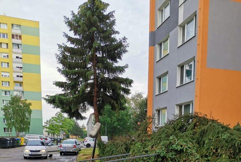 Silná búrka polámala stromy