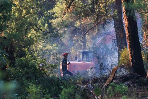 Turkey_Wildfires553430