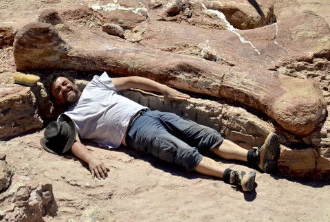 V Argentíne objavili najväčšieho dinosaura 2