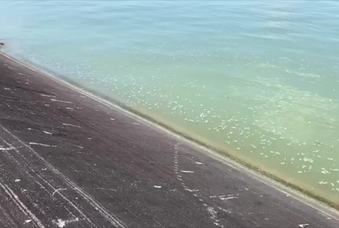 [multi] Mrtve telo Gabčíkovo 3260