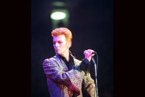 David Bowie