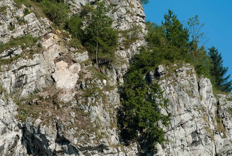 Strečno pád skalný masív 1