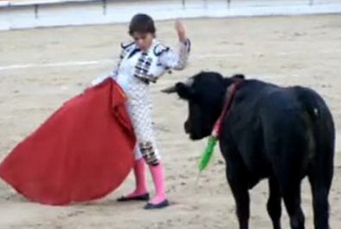 byk a toreador michelito lagravere v arene