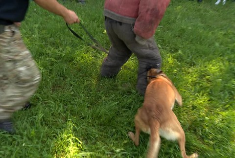 Ako sa ubrániť psovi15272